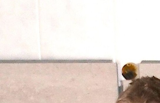 Unikalny montaż na stare płytki