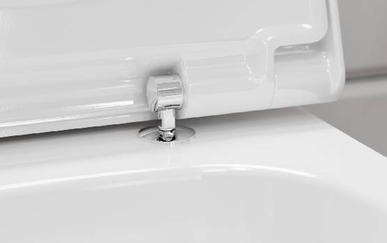 QuickRelease - szybki demontaż deski WC