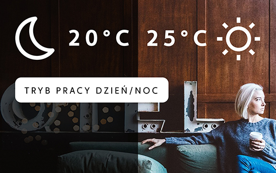 PROGRAMATOR DZIEŃ/NOC