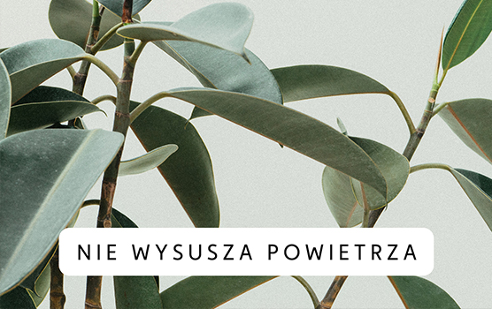 NIE WYSUSZA POWIETRZA