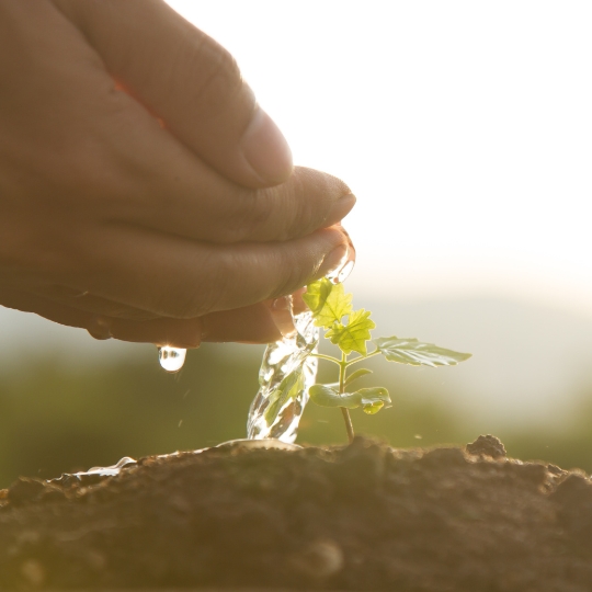 Ekologia i zrównoważony rozwój.