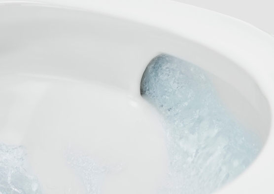 Roca Rimless® Vortex