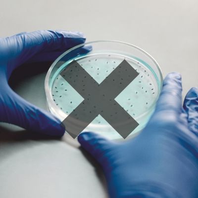 Chroni przed bakteriami i pleśnią