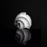 Artemide Mendori lampa biurkowa 1x8W biała 1692010A