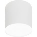 Nowodvorski Lighting Point Plexi White M lampa podsufitowa 1x10W biała 6525