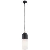 Argon Burgos lampa wisząca 1x15W opal mat/czarny 4213