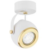 Argon Kos Plus lampa podsufitowa 1x5W biały/mosiądz 4901