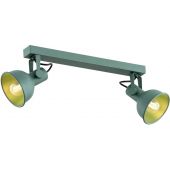 Argon Lenora lampa podsufitowa 2x7W zielony 7174