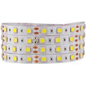 Goldlux taśma LED 500 cm 28 W 309051