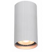 Italux Rilok lampa podsufitowa 1x10 W aluminium CLN-83920-S-ALU