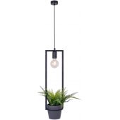 Kaja Estera lampa wisząca 1x60 W czarna K-4038