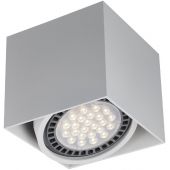 Zuma Line Box lampa podsufitowa biała ACGU10-114-N