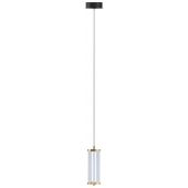 Zuma Line Cally lampa wisząca 1x8 W przezroczysta-złota MD3147-1A-3GT