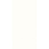 Paradyż Esten płytka ścienna 29,8x59,8 cm biała