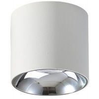 Abigali Vaiolett lampa podsufitowa 1x10W LED biała DL10W-NW