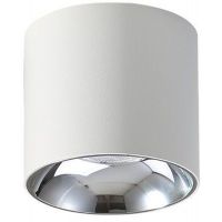 Abigali Vaiolett lampa podsufitowa 1x15W LED biała DL15W-NW