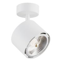 Argon Clevland lampa podsufitowa 1x12W biały 4702BZ