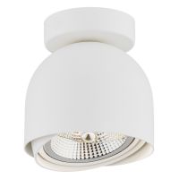 Argon Garland lampa podsufitowa 1x12W biały 4710BZ