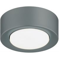 Argon Elora plafon 1x12 W zielony 8917