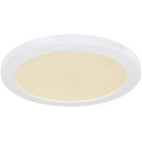 Globo Lighting Lasse plafon 1x24W LED biały/biały opalizowany 12379-24W