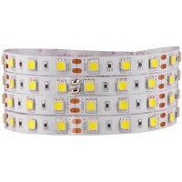 Goldlux taśma LED 500 cm 28 W 309051