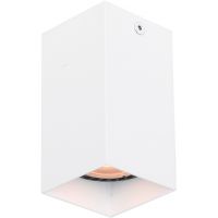 Italux Ander lampa podsufitowa 1x10 W biała CLN-28394-S-WH