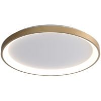 Italux Raden plafon 1x40 W złoty CLN-3151-S-GD