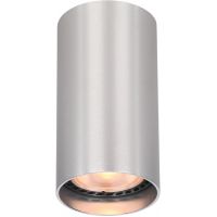 Italux Lopus lampa podsufitowa 1x10 W aluminium CLN-48930-S-ALU