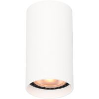 Italux Lopus lampa podsufitowa 1x10 W biała CLN-48930-S-WH