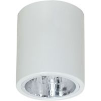 Luminex Downlight Round lampa podsufitowa 1x60W biała 7236