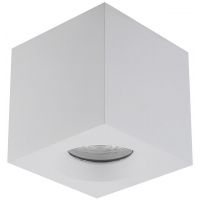 Nowodvorski Lighting Parana lampa podsufitowa 1x15 W biała 10719