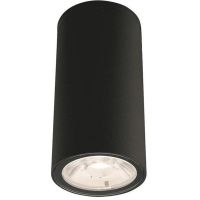Nowodvorski Lighting Edesa lampa podsufitowa 1x3W czarna 9110