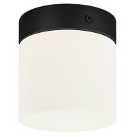 Nowodvorski Lighting Cayo lampa podsufitowa 1x40W czarna/biała 8055