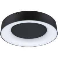 Paulmann Casca plafon 1x16 W czarny PL71096