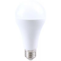 Rabalux Smd-Led żarówka LED 1x22 W 3000 K E27 79117