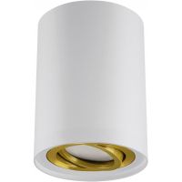 Strühm Hary lampa podsufitowa 1x35 W biała 04239