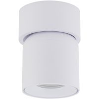TK Lighting Twist White lampa podsufitowa 1x10 W biała 10576