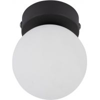 TK Lighting Vox lampa podsufitowa 1x8 W czarna 5613