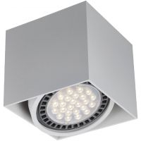 Zuma Line Box lampa podsufitowa biała ACGU10-114-N