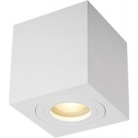 Zuma Line Quardip lampa podsufitowa 1x50W biała ACGU10-160-N