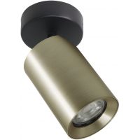 Zuma Line Tore lampa podsufitowa 1x50 W złota TLS006-GLD