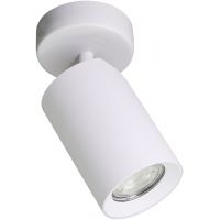 Zuma Line Tore lampa podsufitowa 1x50 W biała TLS006-WH