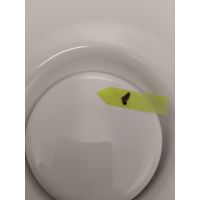 Outlet - Roca Ohtake umywalka 38x38 cm nablatowa biała A327A15000