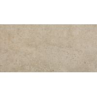Domino Bihara brown płytka ścienna 59,8x29,8 cm