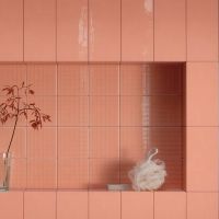 Paradyż Neve Creative Dekor płytka ścienna 9,8x9,8 cm blush połysk