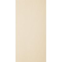 Paradyż Arkesia płytka ścienno-podłogowa 29,8x59,8 cm biały mat