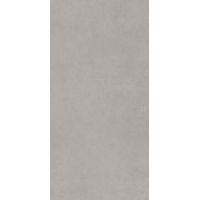 Paradyż Intero płytka ścienno-podłogowa 29,8x59,8 cm srebrny mat
