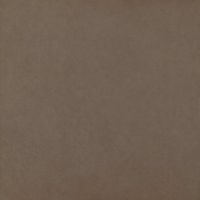 Paradyż Intero płytka ścienno-podłogowa 59,8x59,8 cm brązowy mat