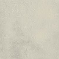 Paradyż Naturstone płytka ścienno-podłogowa 59,8x59,8 cm STR szary mat