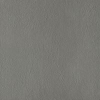 Paradyż Naturstone płytka ścienno-podłogowa 59,8x59,8 cm szara